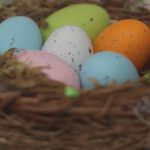 Easter Traditions - A bird nest with colorful eggs on top of a table